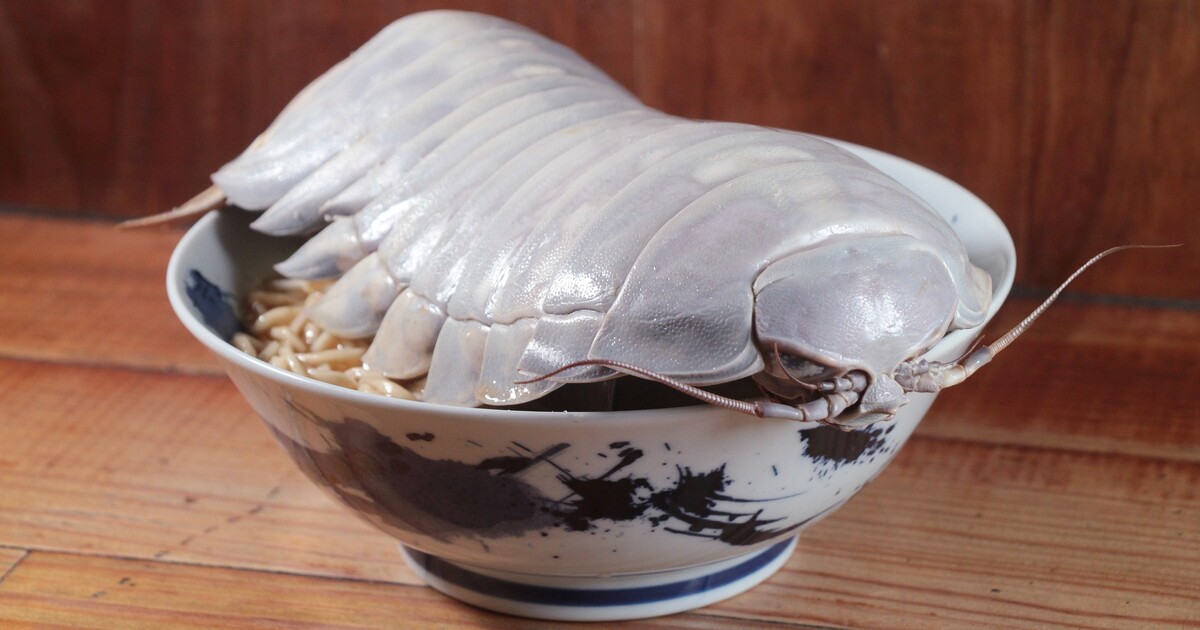 Restaurace v Tchaj-pej představila bizarní novinku na kterou se stojí fronty, neuvěříš, co lidé jí