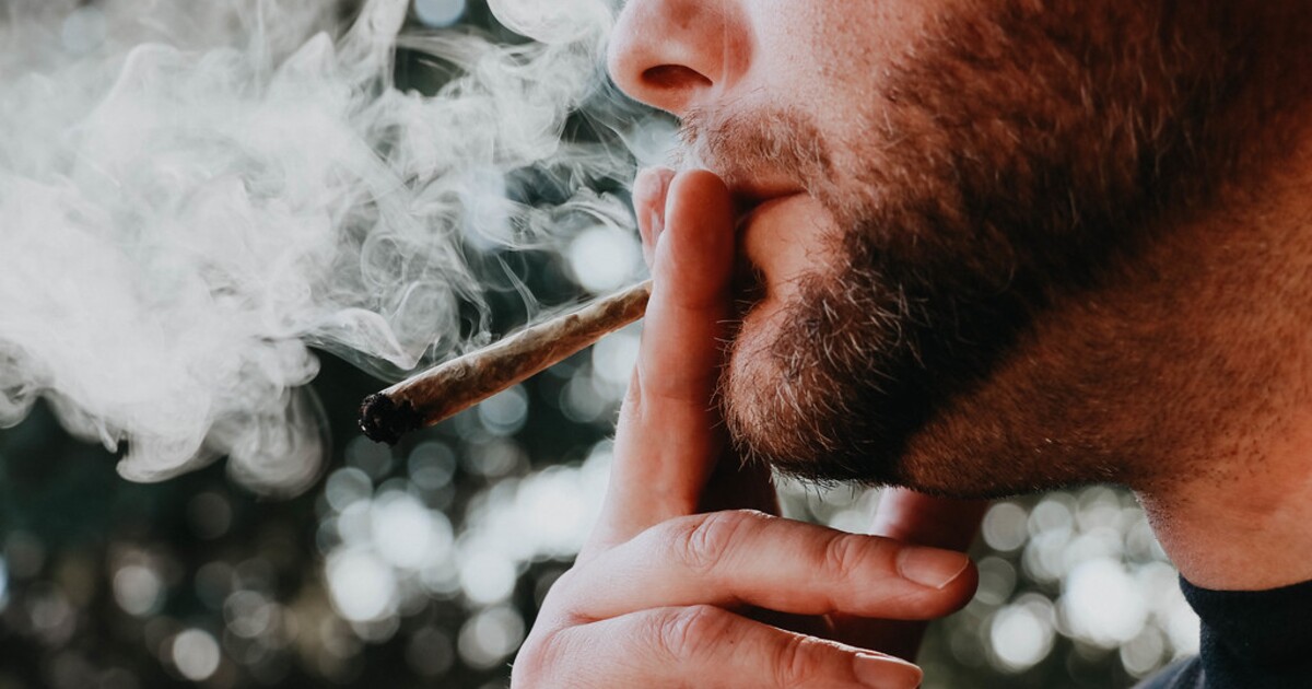 Německo míří k legalizaci konopí. Nově u sebe můžeš mít 25 gramů