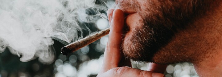 Mladí fajčiari marihuany majú takmer 2-krát vyššie riziko infarktu ako ľudia, ktorí ju neužívajú, tvrdí nová štúdia