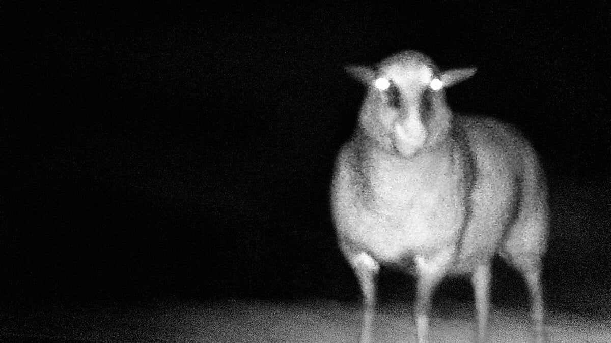 Kateřina Simerová: V temnotách