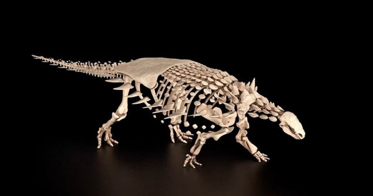 V Anglii objevili nový druh pancéřového dinosaura, může odhalovat až 145 milionů let staré souvislosti