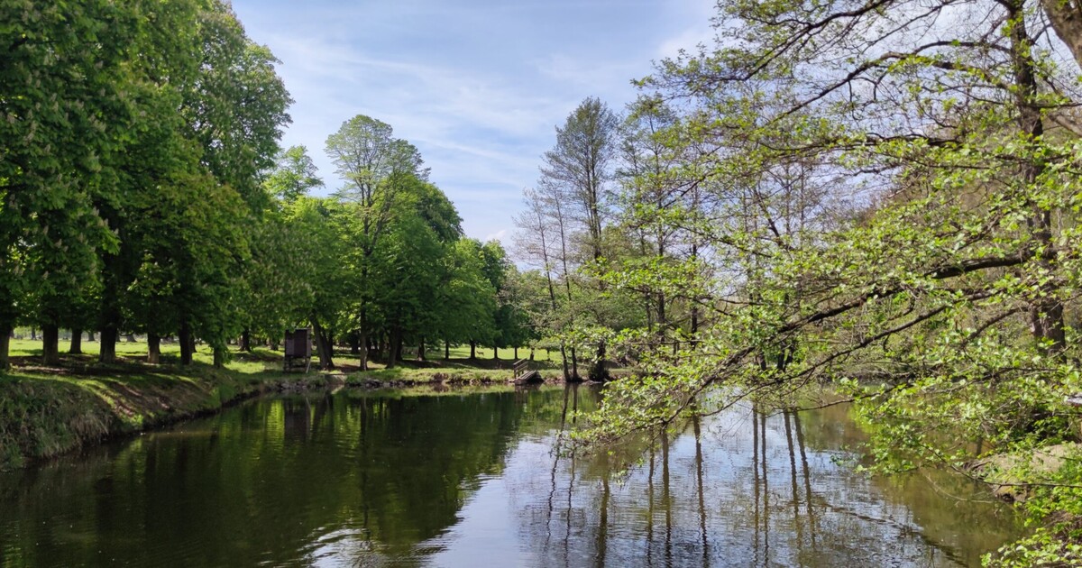 Brutální popravy koček v oboře Březka možná nejsou jen přestupkem. Krajští žalobci kauzu znovu otevírají