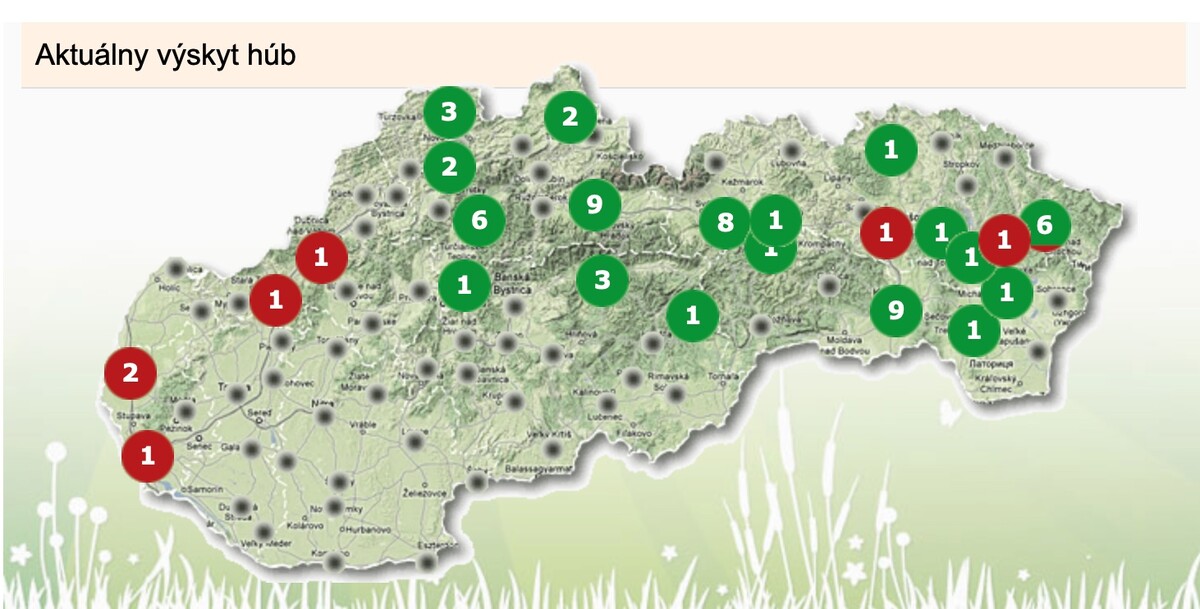 Interaktívna mapa zobrazuje dve farby, a to červenú a zelenú. Červená farba zobrazuje počet hlásení od hubárov a zelená rast húb v danej oblasti.