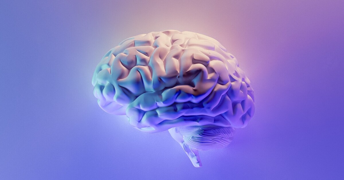 Jez denně tento minerál: Budeš mít zdravý mozek a vyhneš se demenci, tvrdí nová studie