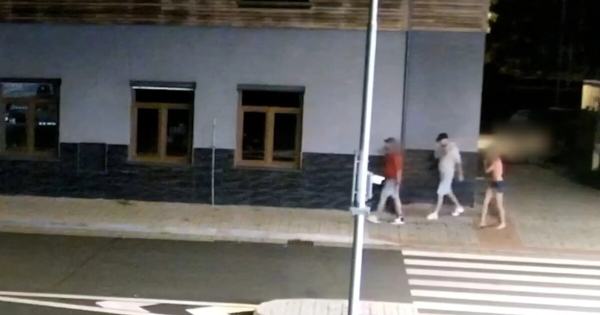 Útočník zbil muže do bezvědomí, ten po třech měsících v kómatu zemřel. Policie pátrá po svědkovi