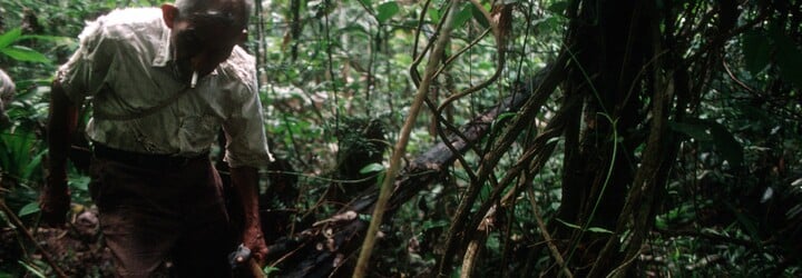 Katka odjela do Peru na ayahuascový rituál. Setkala se s démony, pak se jí spustily psychózy a musela i na elektrošoky