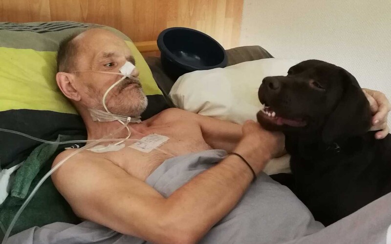 Vysadil léky, přestal jíst a své poslední chvíle streamuje živě. Smrtelně nemocnému Francouzovi odepřeli možnost na eutanazii.