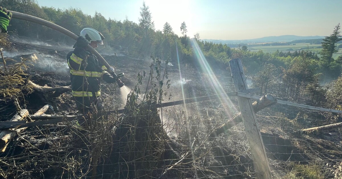 Požár u Konecchlumí: Les hasilo sedmnáct jednotek i vrtulník, příčina se vyšetřuje