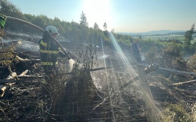 Požár u Konecchlumí: Les hasilo sedmnáct jednotek i vrtulník, příčina se vyšetřuje.