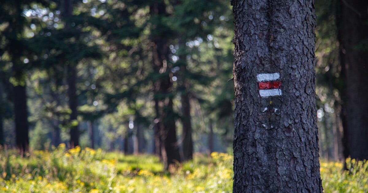 Kvíz: Jsou Češi národem turistů? Otestuj své zálesácké znalosti