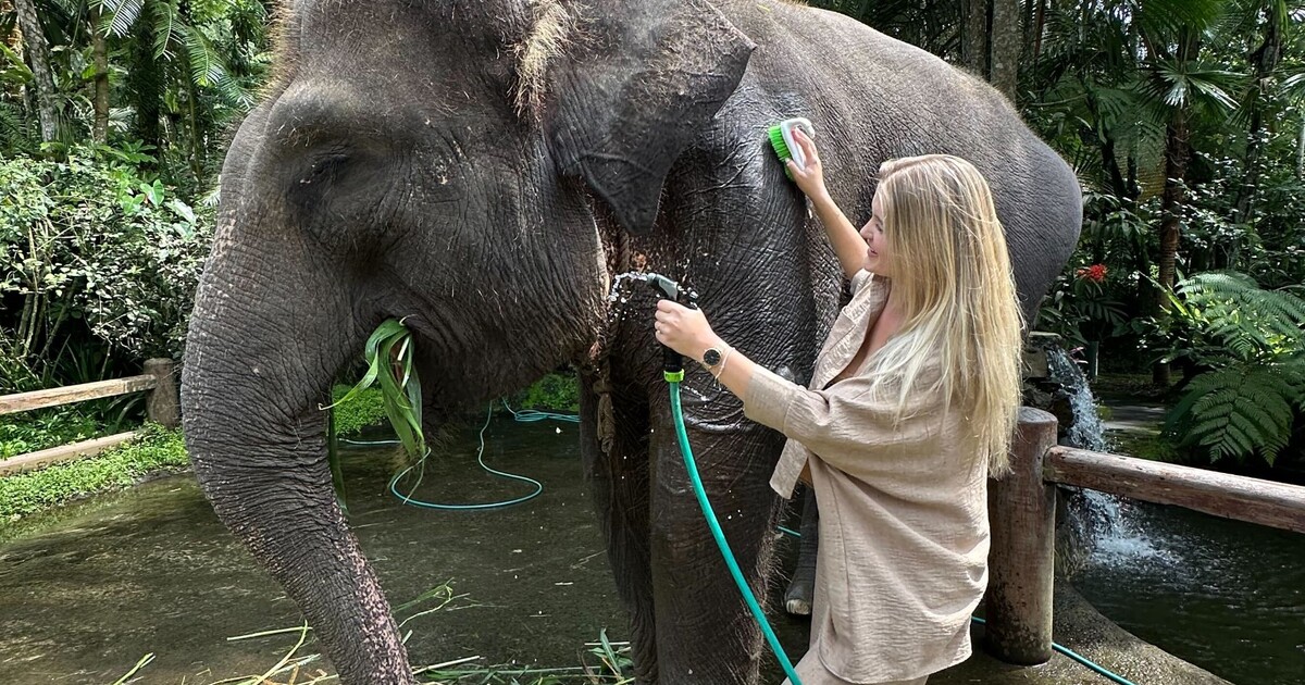 Navštívila jsem záchrannou stanici jako Kim Kardashian. Na Sumatře umírají stovky tisíc zvířat, pár slonů se podařilo zachránit
