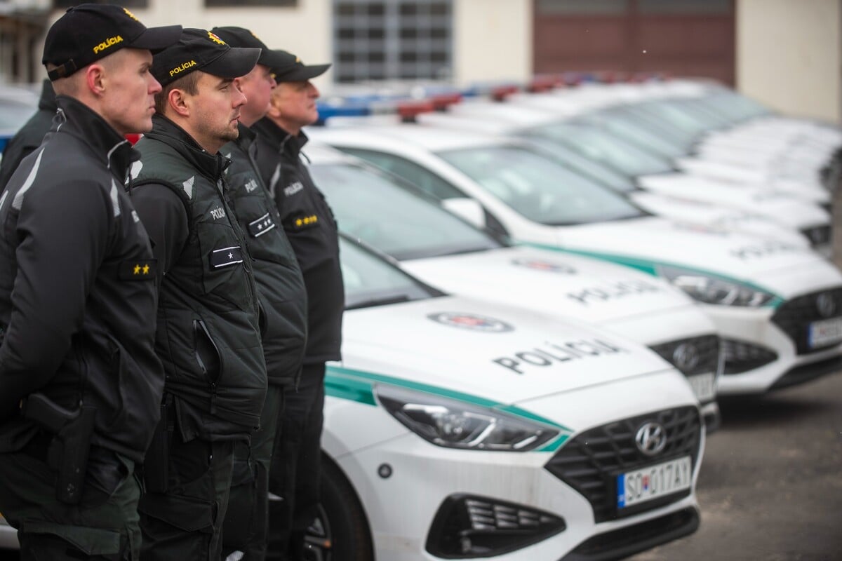 hraničná a cudzinecká polícia