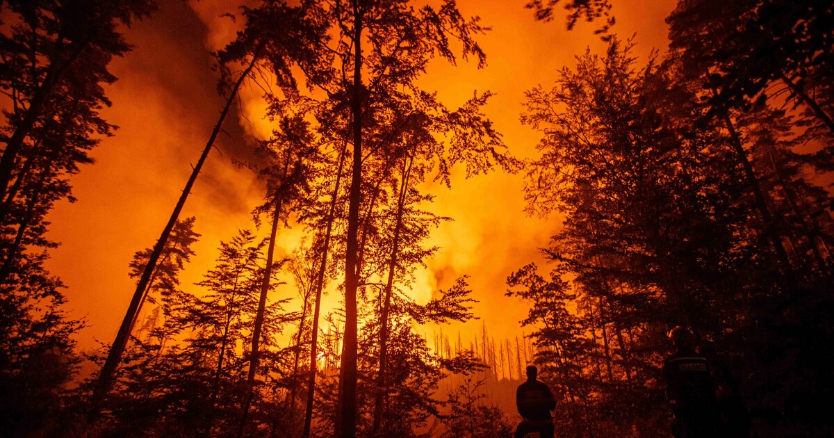 V celém Česku hrozí nebezpečí požárů. Meteorologové zpřísnili výstrahu a vydali doporučení