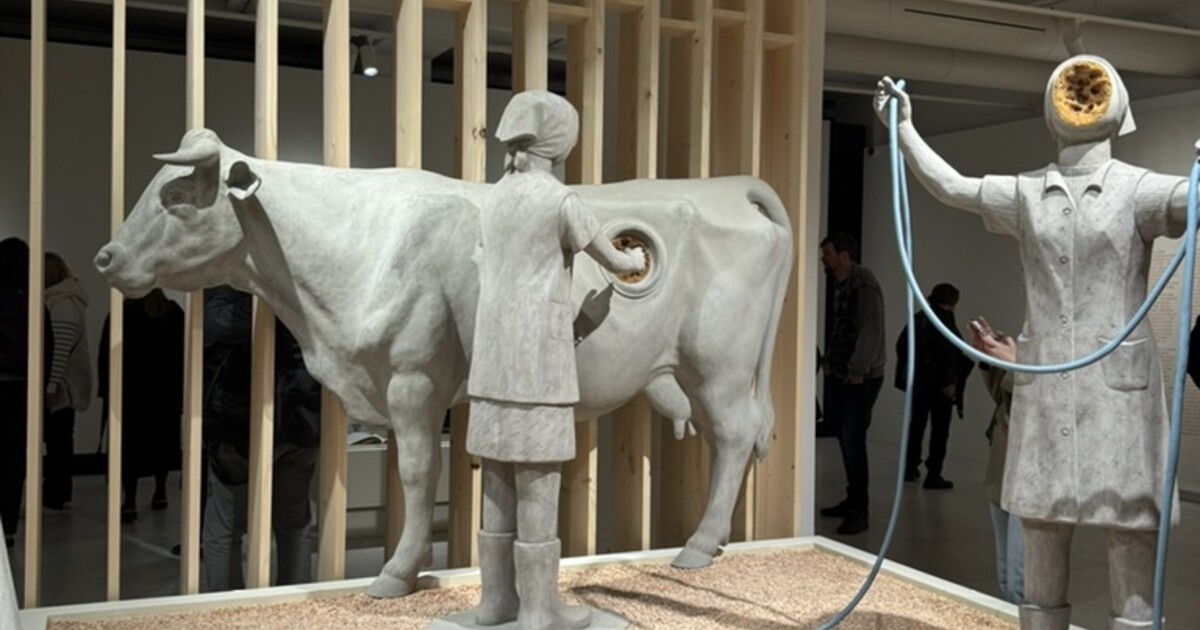 Požár v Českém Švýcarsku, první československá žirafa a videohry. Kam vyrazit na výstavu?