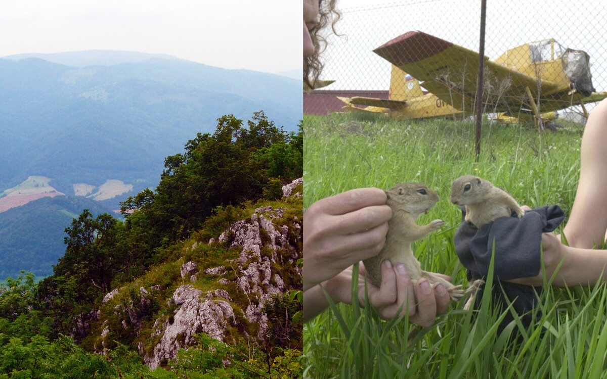 muránska planina