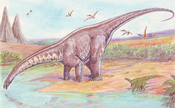 Dinosaurus s bičovitým ocasem dorůstal do délky 23 až 26 metrů. Vzpomeneš si na jeho jméno?