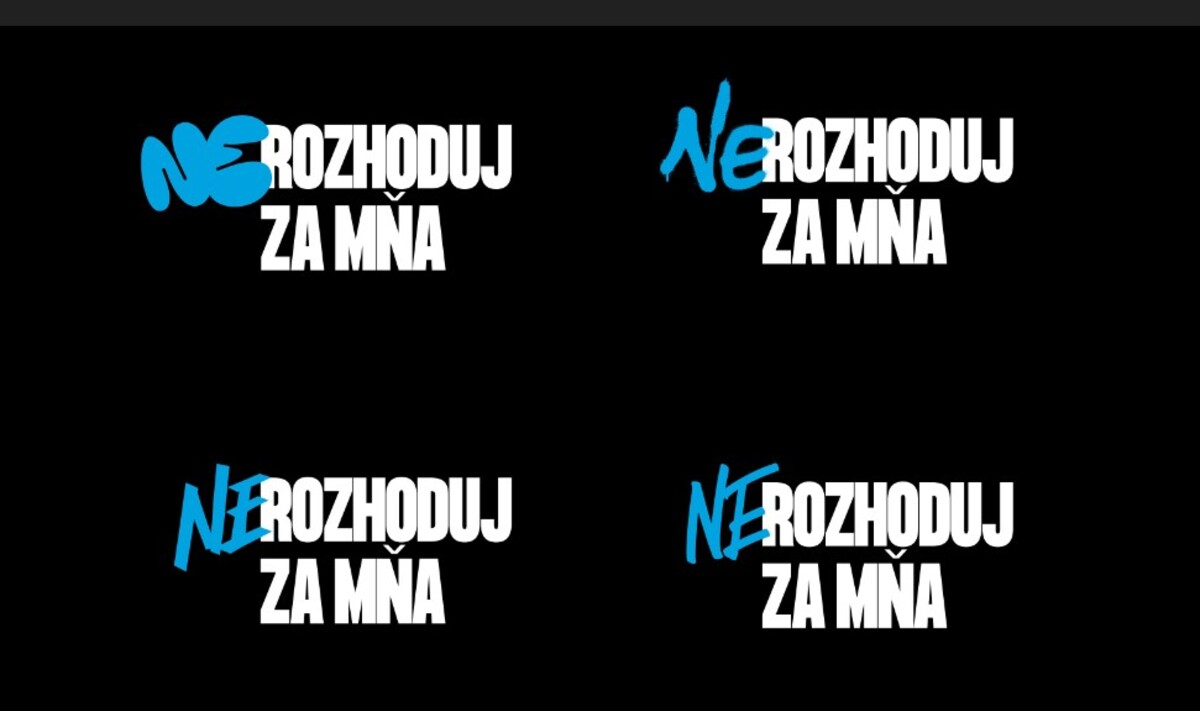 Nerozhoduj za mňa