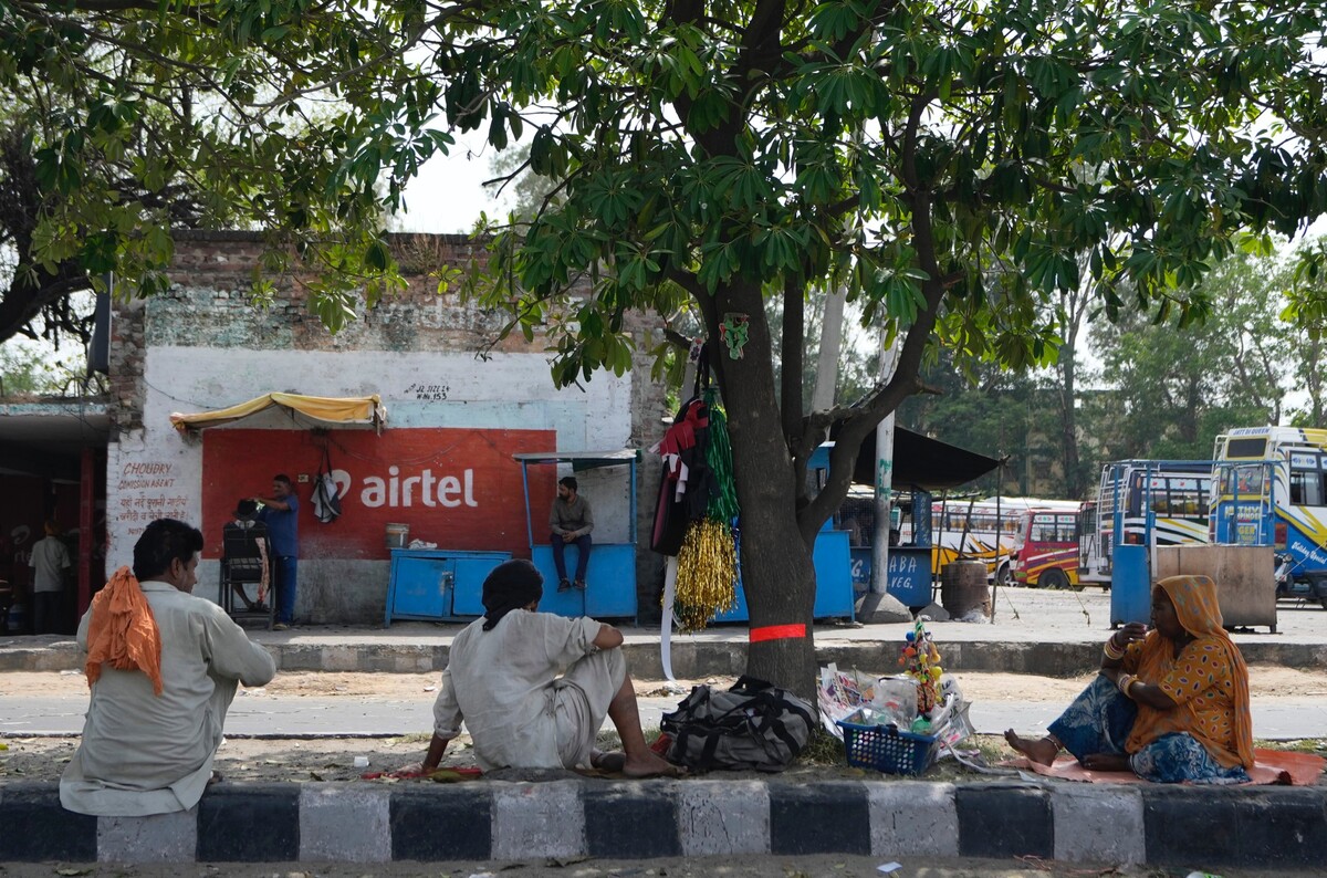 Prodavači v indickém Džammú odpočívají a snaží se ukrýt před sluncem. Foceno 19. května 2022.