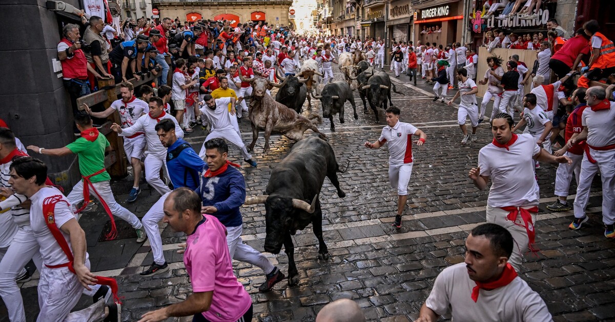 VIDEO: Drsný běh býků ve Španělsku je děsivý pro lidi i pro zvířata. Letos se zranilo již 10 návštěvníků