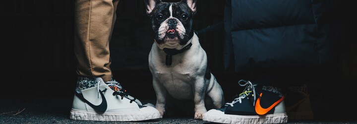Trávíš hodiny u výběru tenisek? Flexdog ti pomůže najít ty vysněné během několika minut