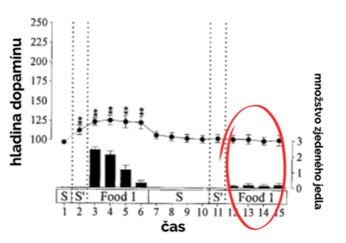 dopamín jedlo graf