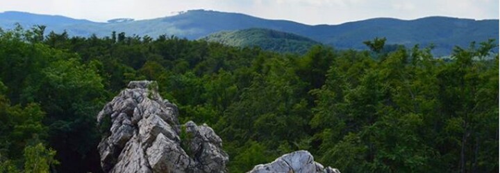 Z novej rozhľadne dovidíš až na rakúske Alpy či Moravu. Vyrastie neďaleko Pezinku