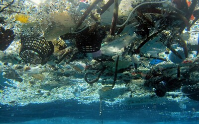 Na dně světových oceánů je asi 14 milionů tun plastu, tvrdí nová studie.