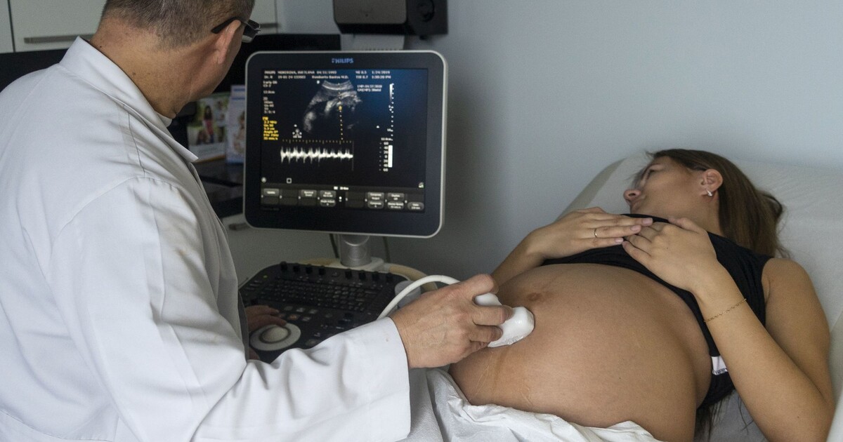 Darováním vajíček si můžeš přijít i na více než sto tisíc korun. Shrnujeme vše, co potřebuješ vědět