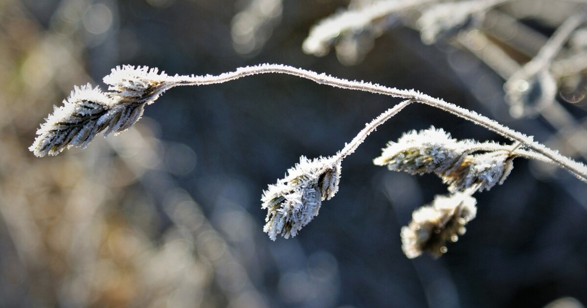 Předpověď počasí: Česko čekají další mrazivé noci. Víme, kdy se konečně oteplí