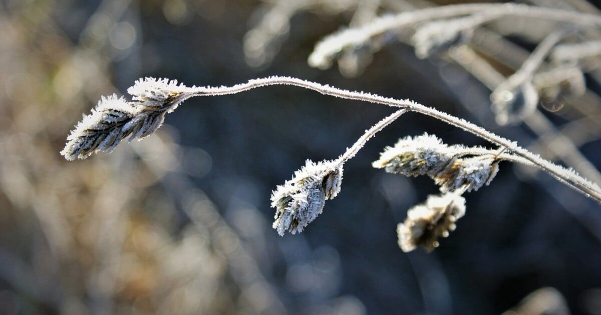 Předpověď počasí: Teploty v Česku budou atakovat 20 °C, meteorologové ale vydali i výstrahu