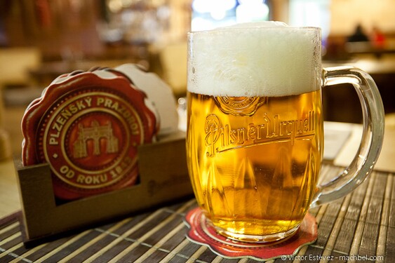 Pod kterou společnost patří Pilsner Urquell či Velkopopovický Kozel?