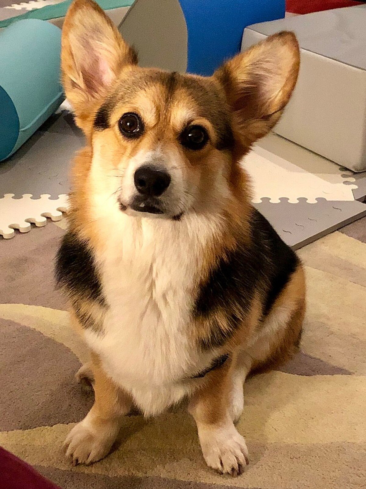 Ilustračná fotografia.