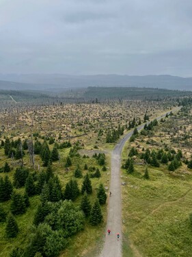 Z výšky 1315 m n. n. shlížím na nádherné Kvildské pláně na Šumavě. Přímo na vrcholu tě přivítá netypická rozhledna. Pravděpodobně se ti bude zdát nevzhledná a do okolní přírody příliš nezapadající. Původně se totiž jednalo o vojenský objekt elektronické ostrahy státní hranice. Kochat se tu můžeš celou centrální Šumavou a Bavorským lesem – při dobré viditelnosti zahlédneš i Alpy. A třeba i vzácného tetřeva hlušce, který v mém okolí hnízdí! Která hora jsem?&nbsp;