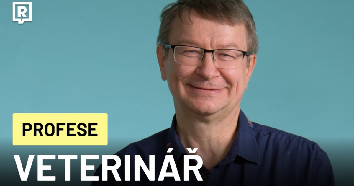 Veterinář radí: Tohle jsou nejčastější chyby, které děláme domácím mazlíčkům