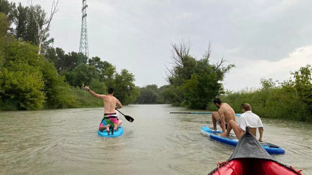 paddleboard, leto