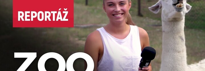 Barbora Bakošová ukázala, ako správne nakŕmiť a postarať sa o zvieratá. V roztomilej reportáži z bratislavskej zoo sa toho kopu dozvieš