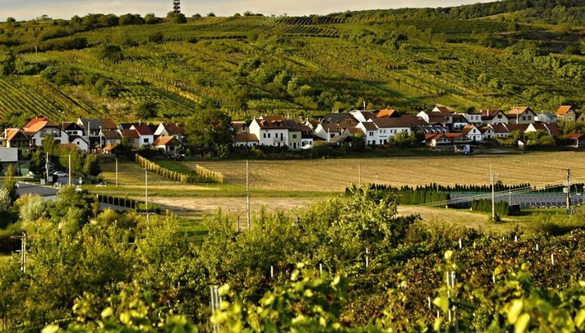 Bořetice