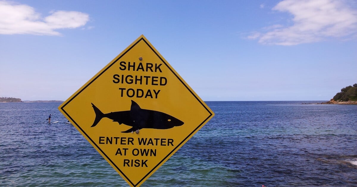 Foto: Toto je opravdu démonická stvůra z hlubin. Vědci objevili nový druh černého žraloka