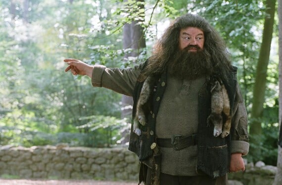 Hagrid vychovával mnohé zvieratá. Ktoré medzi ne nepatrí?