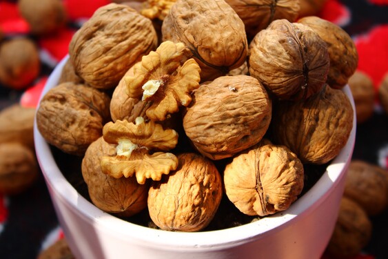 Vlašské ořechy milujeme! Víš ale, kam je řadí Státní zemědělská a potravinářská inspekce?