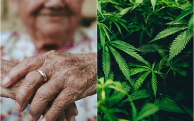 91-ročná dôchodkyňa pestovala marihuanu v nemeckom domove pre seniorov. Policajtom ju vydať nechcela