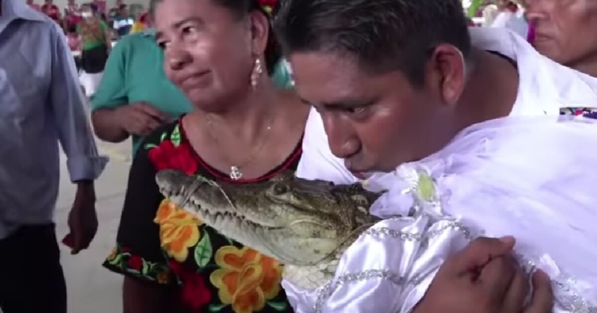Video: Starosta mexického města se rituálně oženil s krokodýlí princeznou