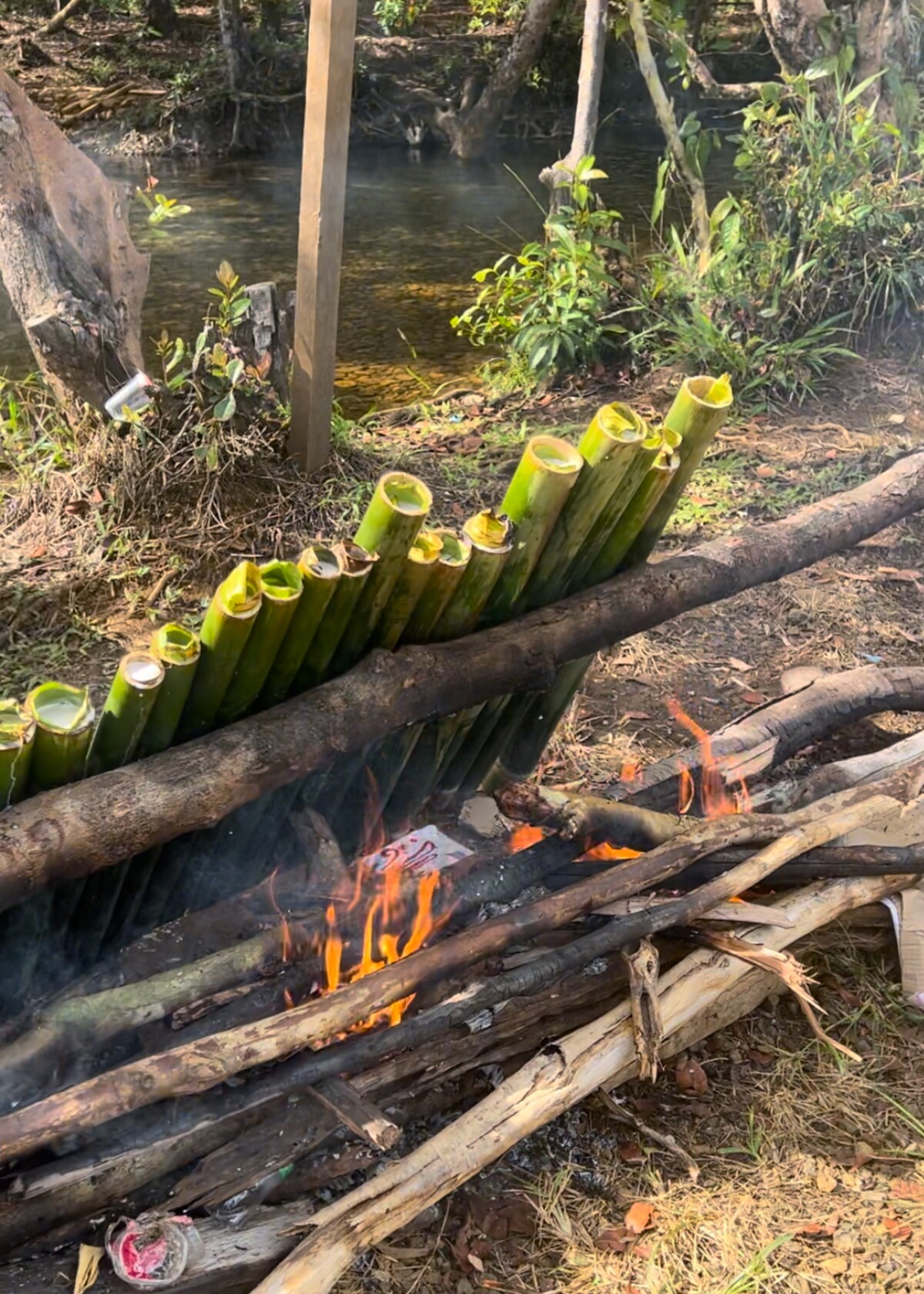 Varenie ryže s kokosovým mliekom v bambuse.