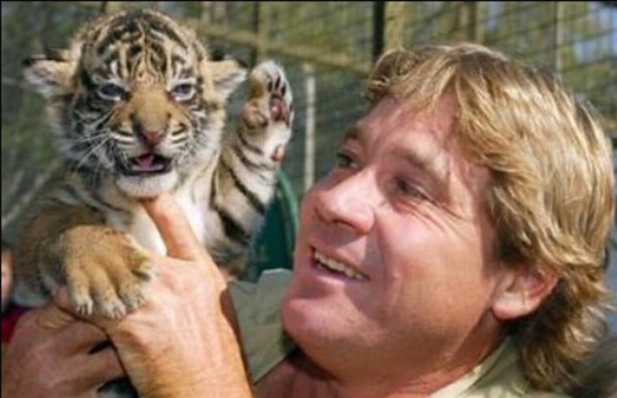 steve irwin