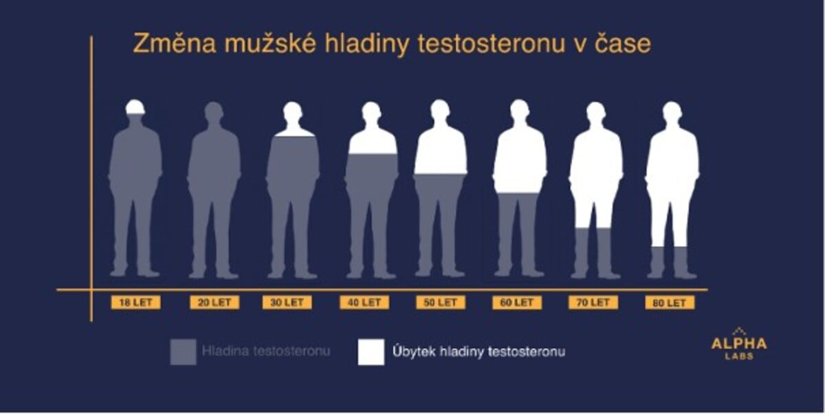 hormony, testosteron