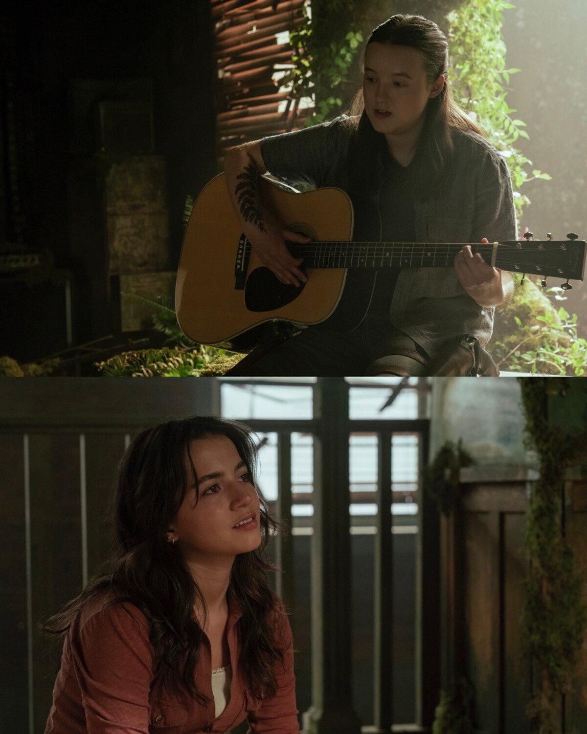 The Last of Us