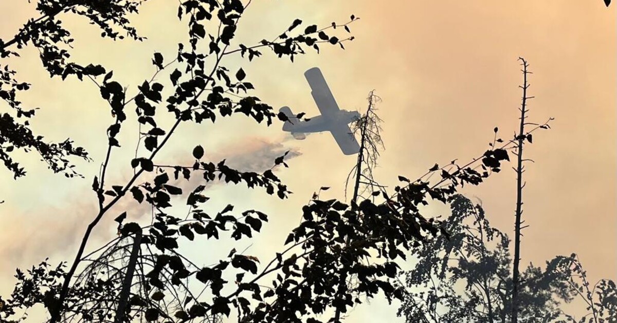 ČHMÚ: V Česku hrozí vysoký stupeň nebezpečí požárů. Jak jim předejít?