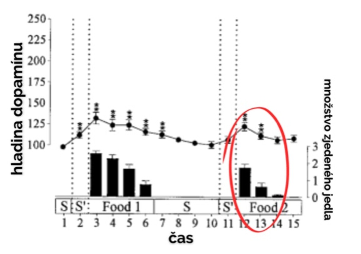 dopamín jedlo graf