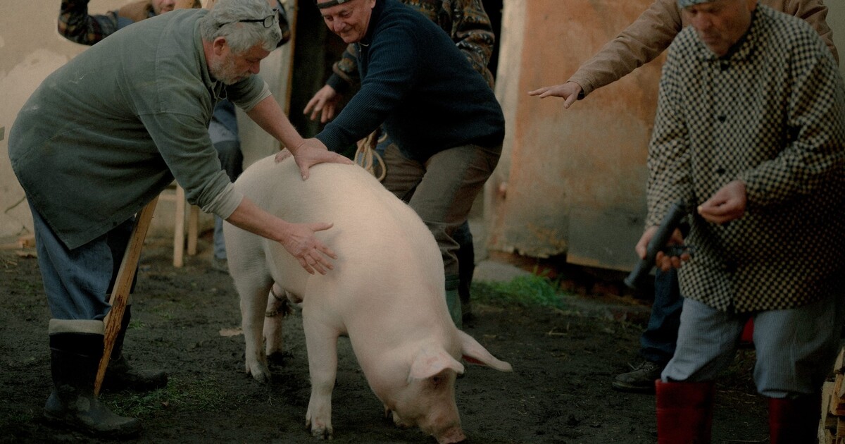 Jedna z nejlepších českých komedií posledních let míří na streamovací službu Max. Může vyhrát i Českého lva