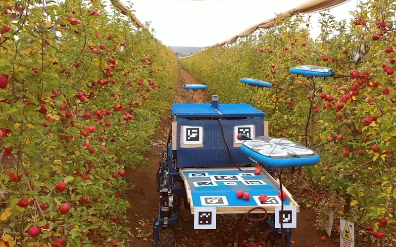Brigádnici majú po chlebe. Ovocie v sadoch začínajú zbierať drony s umelou inteligenciou.